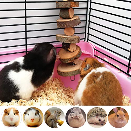 Mcfeddy Guinea Pigs Rabbits Hamster Chew Toys 10 Pcs Of Wooden Small Animal Cage Accessories Organic Apple Wood Activity Toy Exercise Wheelteeth Molars Pet Ball Suitable For Mouse Chinchillas Bird Etc #TOP6