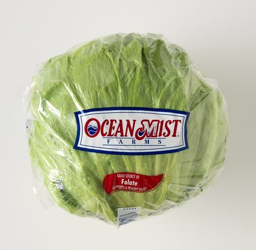 Iceberg Lettuce, 1 Head