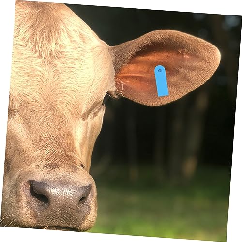 100 etiquetas de orelha de animal ID de ovelha etiquetas personalizadas de gado Pickelhaube etiqueta