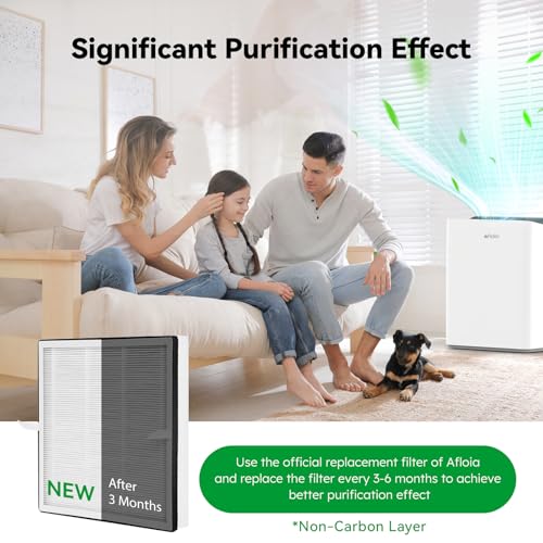 Image of Afloia HEPA Filter Without Carbon Layer, For Europa Air Purifier, 2-Pack