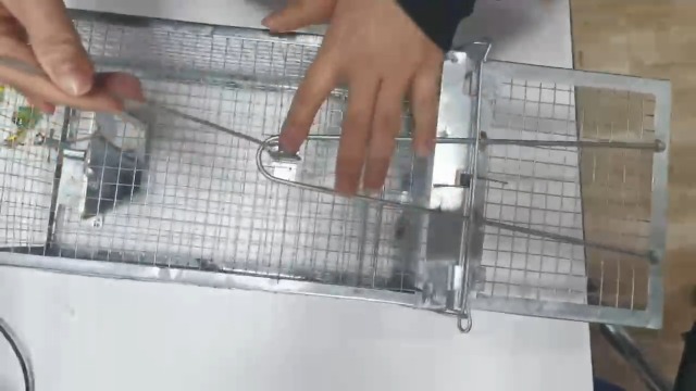 Amazon.co.jp: AMZX RJJZネズミのケージ、ネズミのケージは効率的で