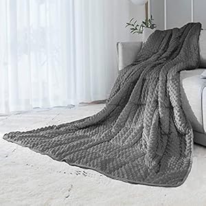 ALANSMA Reversible Weighted Blanket for All Season, Luxury Velvet, Warm and Cool, Adult 10Lb Weighted Blanket, Enjoy Sleeping Anywhere(Grey, 48”x72”10lbs)