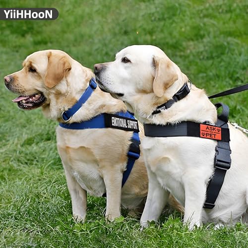 8 Stück Service Hund Patch, Service Dog Patch mit Haken Backing, Abnehmbare Do Not Pet Patches Hundewesten Patches Abnehmbare für Weste Hundegeschirr