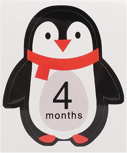 Miniatura 9 de 12 calcomanías mensuales de género neutro para bebé, niño o niña, crea hermosos recuerdos con nuestros bonitos diseños de animales