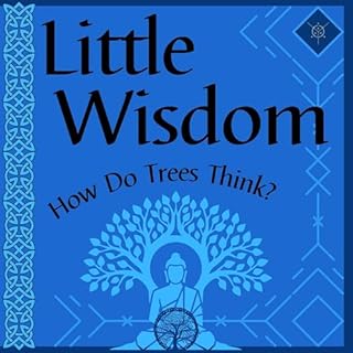 Little Wisdom cover art