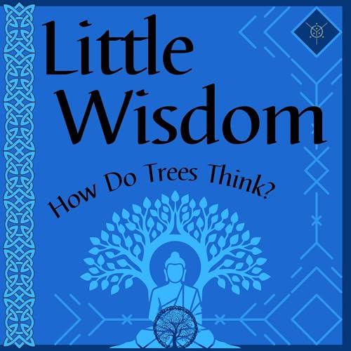 Little Wisdom Audiolibro Por Devin Kornelsen-Loytomaki arte de portada