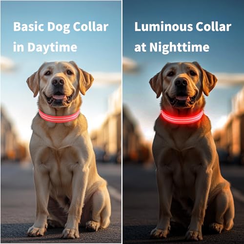 PcEoTllar Leuchthalsband Hund USB Aufladbar - LED Halsband für Hunde Hundehalsband Wasserdicht Leuchtend Einstellbare Größe, 3 Modi, Leuchthalsband für Nachtsicherheit Kleine und mittlere Große Hunde