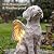 LEAESMHR Solar Angel Dog Statue with Lights, Dog Memorial Statue for Outdoor, Winged Dogs Angel Figurine for Garden, Yard, Lawn, Patio Desk Decor, Memorial Pet Loss Gift