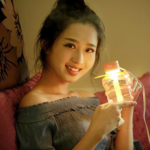 Walkas 300ml Desk Humidifier LED Night Light Cool Mist Humidifier with Timed auto shutdown for Office Home Car Baby (Bucket)
