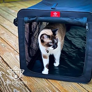 The-IndoorOutdoor-Cat-Enclosure-Cat-Playpen-48-x-18-x-18-Blue - Cucciolini Doodles   The-IndoorOutdoor-Cat-Enclosure-Cat-Playpen-48-x-18-x-18-Blue