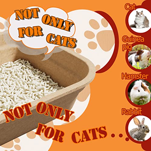 15 cajas desechables para arena de gato pequeñas miniatura 4