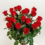 EFIORI 3B
