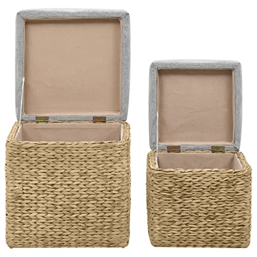 Tabourets Poufs Jacinthe d'Eau Gris Confortables avec Coffre Intégré - 5