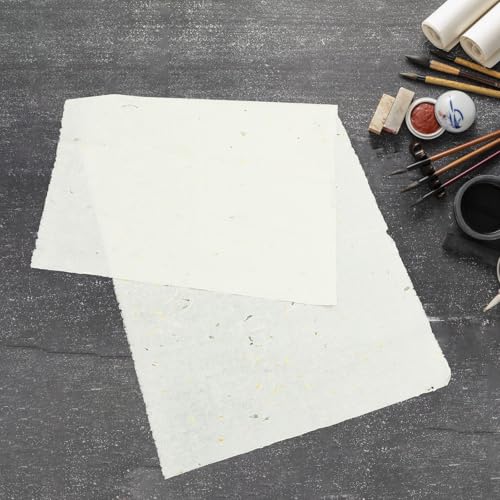 Papel de arroz chino para pintura tradicional con absorción lenta y textura ligera 7