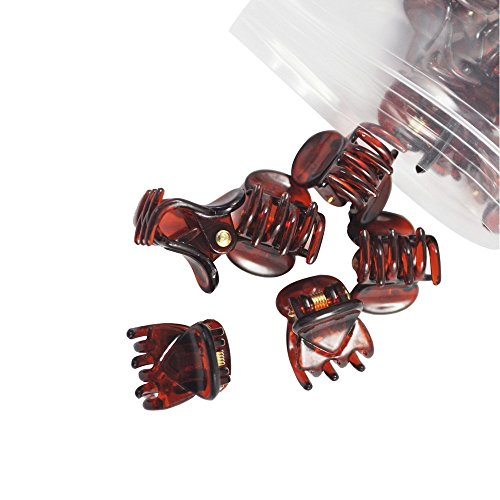 SODIAL(R) 12 Pcs Brown Plastic Mini Hairpin 6 Claws Hair Clip Clamp for Ladies