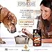 Dog & Cat Premium Probiotic Prebiotic & Digestive Enzymes 5 Billion CFU Organic Turmeric Coconut Oil Pure Pumpkin & Kelp for Healthy Bowels Gut & UTIs Beef Liver Flavor