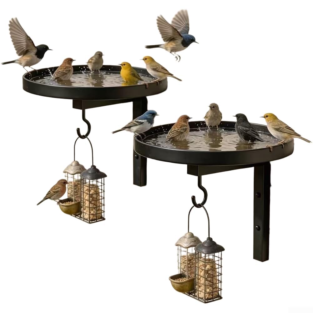 Todikaper Wall Mounted Bird Feeder for Garden, Sturdy Iron Hanging Bird Bath with Hook, Rustic Outdoor Patio Decoration Set