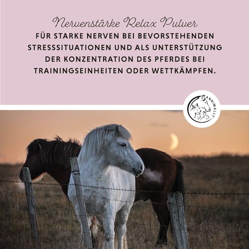 Annimally Nervenstärke - Pferde Relax Nerven Pulver 2kg zur Beruhigung beim Pferd - Nervenkräuter mit Magnesium, Tryptophan, Baldrian, Passionsblume & Hanföl gegen Angst, Stress & für Transport