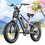 eAhora Terra Electric Bike for Adults - 1500W Peak 33MPH 20Ah Long Range Ebike, 80Miles 20