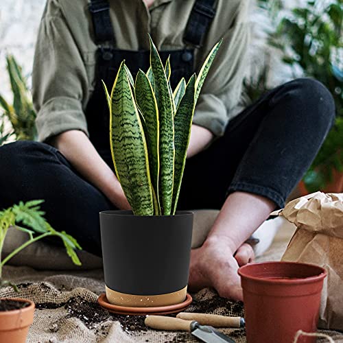 Qcqhdu Plant Pots Set Of 2 Pack 8 Inch,Planters For Indoor Plants With Drainage Holes And Removable Base,Saucer Modern Decorative For Outdoor Garden Planters(Dark Grey 8In) #TOP5