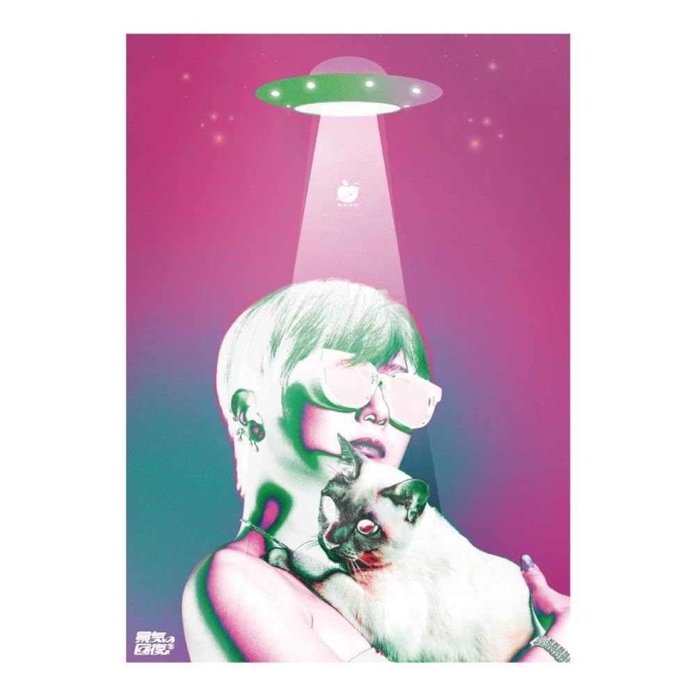 椎名林檎ポスター4枚セット