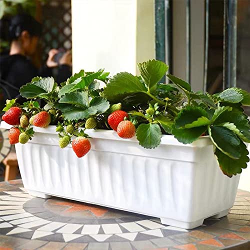 Osmofuze 6 Packs Window Box Planter, 17 Inches Flower Window Box Rectangular Plastic Vegetable Planters With Trays For Windowsill, Patio, Garden, Balcony, Porch White #TOP5