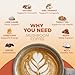 RYZE SUPERFOODS Mushroom Coffee USDA Organic with 6 Adaptogenic Mushrooms and MCT Oil, USA Grown Instant Coffee for Better Energy, Focus, Digestion, Immunity with Lions Mane & Turkey Tail, 30 servings