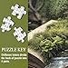 Book Forest Puzzle for Adults 1000 Pieces Nature, Fantasy Plant Jigsaw Puzzle, Cozy Tree River Green Puzzle