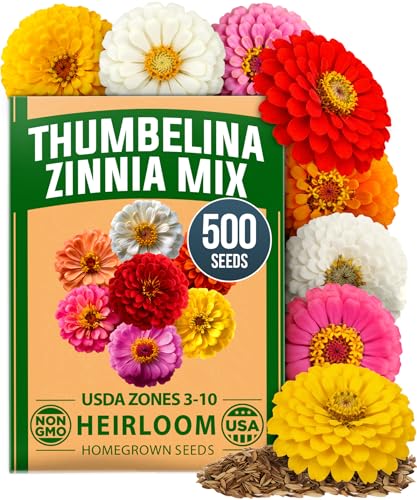 Image of HOME GROWN Thumbelina Zinnia Seeds (1g) - 500 Dwarf Zinnia for Planting 2026, Spring Flower Seeds to Plant Outside, Easy Summer Garden Bloom for Containers & Borders (Zinnia elegans)