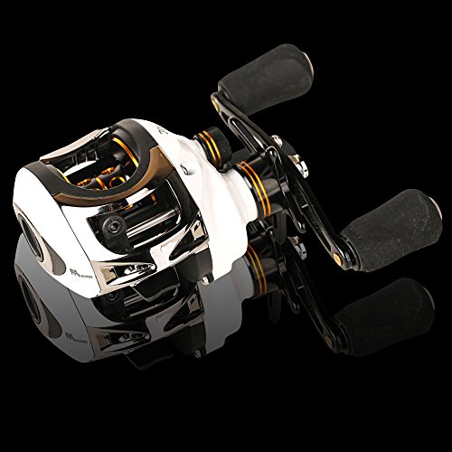 Entsport Baitcasting Fishing Reel Low Profile Casting Reel 10+1 Ball Bearings Baitcast Reel Right/Left Handed Baitcaster Fishing Reel (Left)