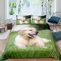 Copripiumino Matrimoniale 250x200 Labrador Retriever: Set 3 Pezzi In Microfibra Con Federe 50x80