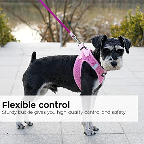 PINA Dog Harness for Small Medium Dogs No Pull, Dog Harness and Leash Set, No Choke Breathable Mesh Dog Vest Harness… - Image 5