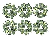 LSKYTOP 6Pcs Eucalyptus Wreath Faux Kitchen Cabinet Wreaths Artificial Greenery Wreath Farmhouse Wreath for Door Wall Window Decor, 9Inch/PC