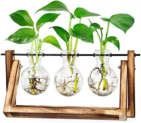Waytoeast Plant Propagation Stations, Desktop Air Plant Terrarium with Wooden Stand Propagation Planters Glass for Hydroponics Plants Office Home Gardening Gifts for Women - 3 Bulb Vase