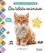 Les bébés animaux: Regarde, touche et écoute
