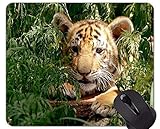 Langlebiger, schmutzabweisender, hochwertiger, umweltfreundlicher Stoffbezug. Stoffoberfläche für hohe Leistung