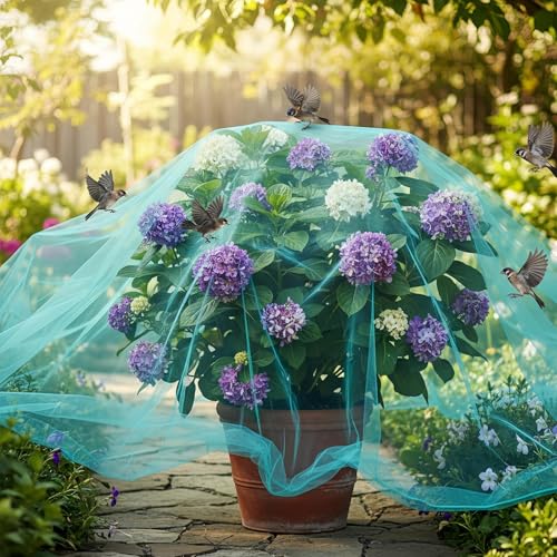 Cubierta transparente reutilizable para el cultivo de verduras en el huerto 4