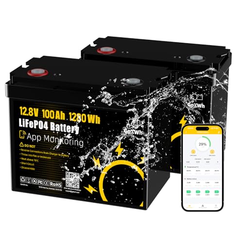 2-Pack 12V 100Ah LiFePO4 Battery