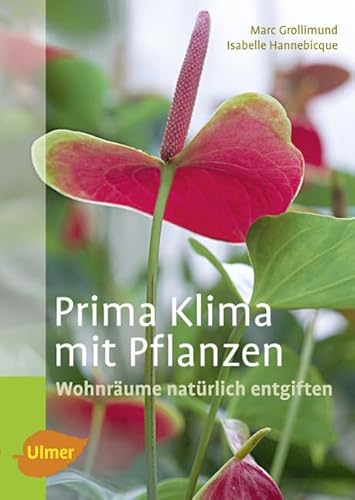 Prima Klima mit Pflanzen: Wohnräume natürlich entgiften Prima Klima mit Pflanzen: Wohnräume natürlich entgiften