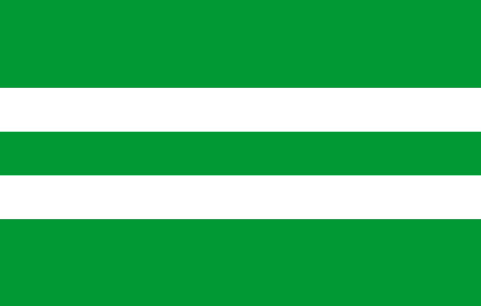 Drapeau Antsla vald de 1.35m² pour pavoiser vos événements extérieurs