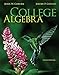 College Algebra with Connect Math hosted by ALEKS Access Card