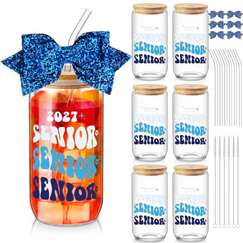 Hushee 6 Set Class of 2027 Senior Night Gifts Glass Water Bottle, Blue