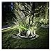 AXVKTFMJRD Led Tree Hug Lights Night Projection Outdoor Landscape Lamp RGB IP65 Waterproof for Home Decoration Garden Park Yard(Yellow AC100-240,5 Heads with Leg)