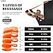 Undersun Fitness Home Gym & Exercise Equipment - Muscle Building Workout Program with 5-Band Home Workout Resistance Rubber Bands Set- 5 Different Levels of Resistance Bands.