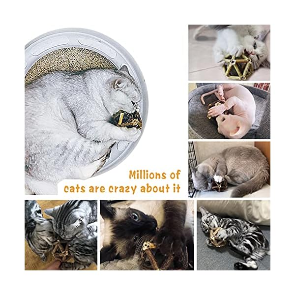 Gochanmon catnip toys-2pcs natural silvervine stick catnip ball&bell ball-cat toys for indoor cats- cleaning teeth molar tools matatabi cat chew toy-kitten toys - image 7