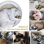 Gochanmon Catnip Toys-2Pcs Natural Silvervine Stick Catnip Ball&Bell Ball-Cat Toys for Indoor Cats- Cleaning Teeth Molar Tools Matatabi Cat Chew Toy-Kitten Toys All Breeds - Image 6