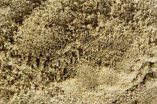 Gravel Company Fine Masonry Sand Washed & Screened for Mortar Paver Joints and Leveling Base (10 lbs)