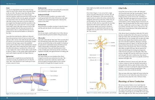 The Vital Nerves: A Practical Guide for Physical Therapists