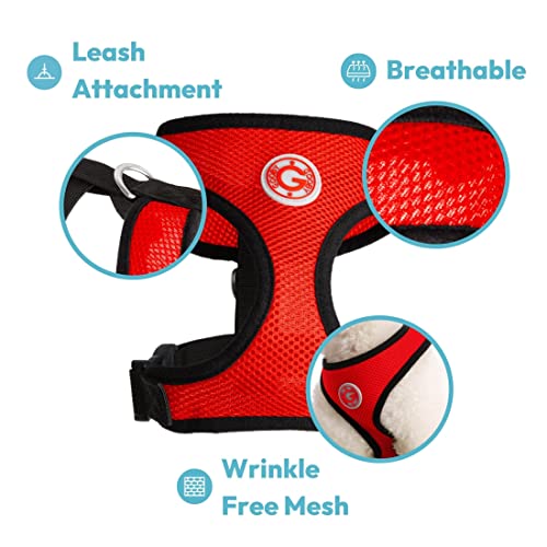 Gooby Soft Mesh Dog Harness - Blue, Small - All Weather Mesh Head-In Small Dog Harness With D Ring Leash - Perfect On The Go Breathable Dog Harness For Medium Dogs No Pull And Small Dogs #TOP3