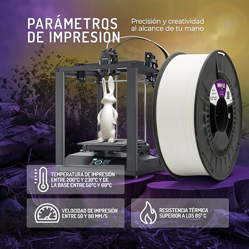 Filamento PETG Plata 1.75mm 300g para Impresora 3D - Compatible con la Mayoría de Impresoras - Precisión Dimensional - Fernando Cortés